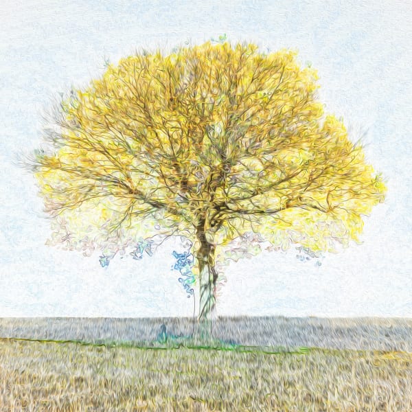 Duncan Wade, Summer Sketch , 2023