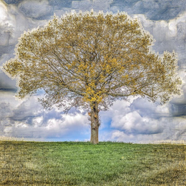 Duncan Wade, Spring, 2023