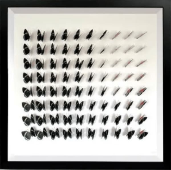 Daniel Byrne, Sequence