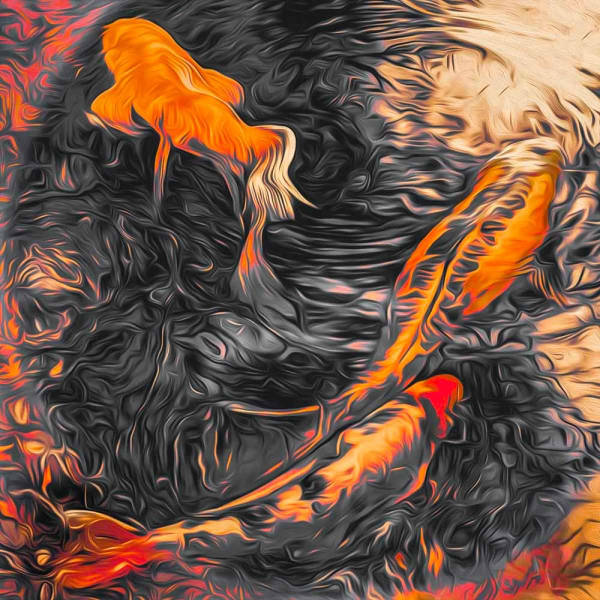 Duncan Wade, Koi Tree Reflect