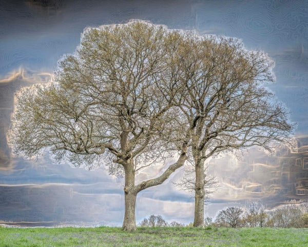 Duncan Wade, Springer Twins, 2023