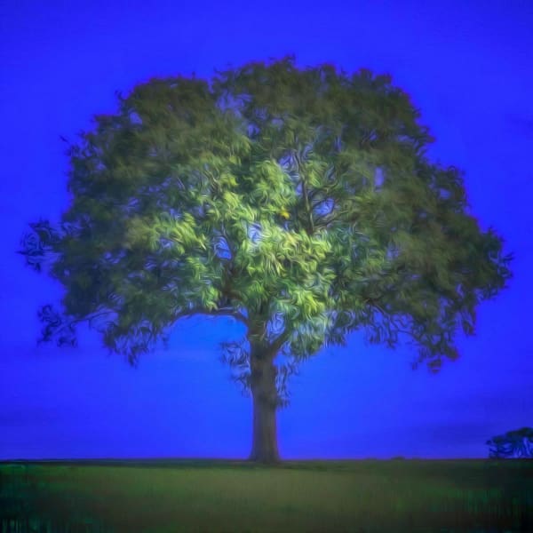 Duncan Wade, Midnight, 2023