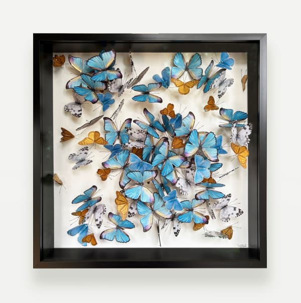 Daniel Byrne, Flutter III, 2025