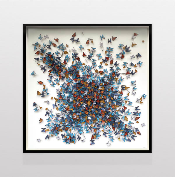 Daniel Byrne, Mass, 2024