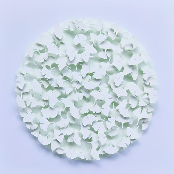 Graham Gosling, Kyujutsu Ichou 261 YA