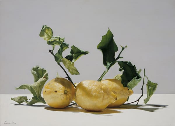 Francesco Stile, Looking For Shadow