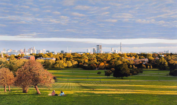 Christian Marsh Primrose Oil on canvas 90 x 150 cm