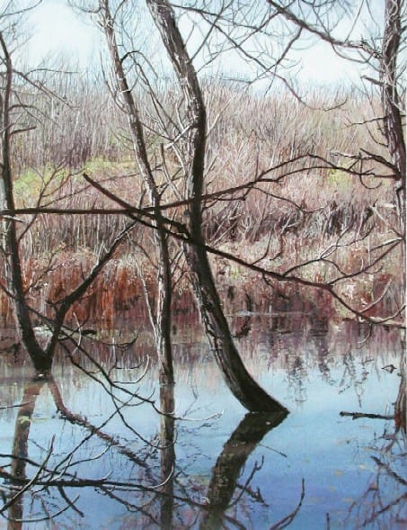 James Van Patten, Spring Flooding