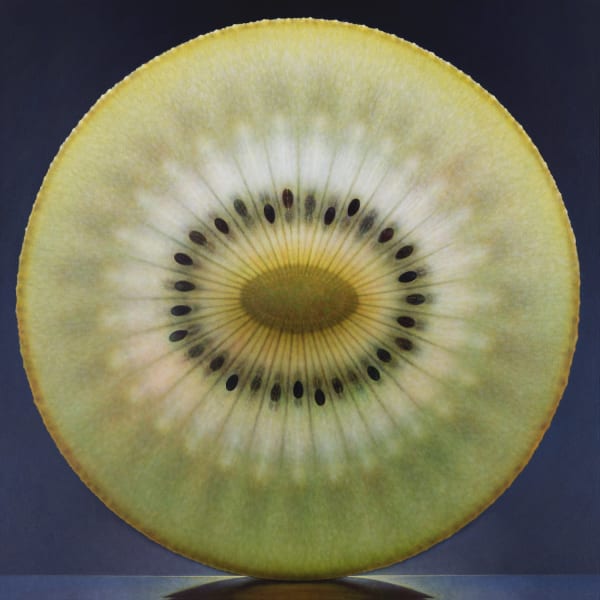 Dennis Wojtkiewicz, Rosette series #37