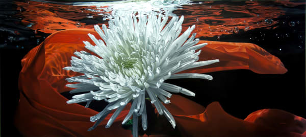 Francois Chartier, Summer Passion