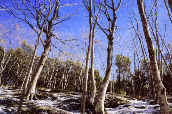 Winter, 2017