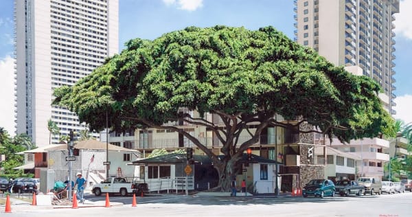 Christian Marsh, Tree in City