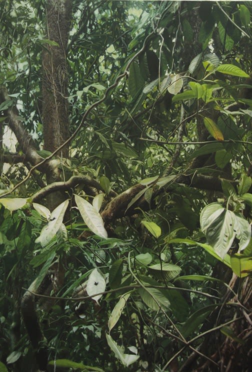 Stephan Kaluza, Transit II - 125