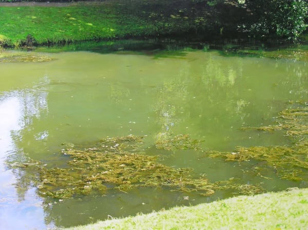 James Van Patten Stowe Slope Acrylic on linen 122 x 162.5 cm