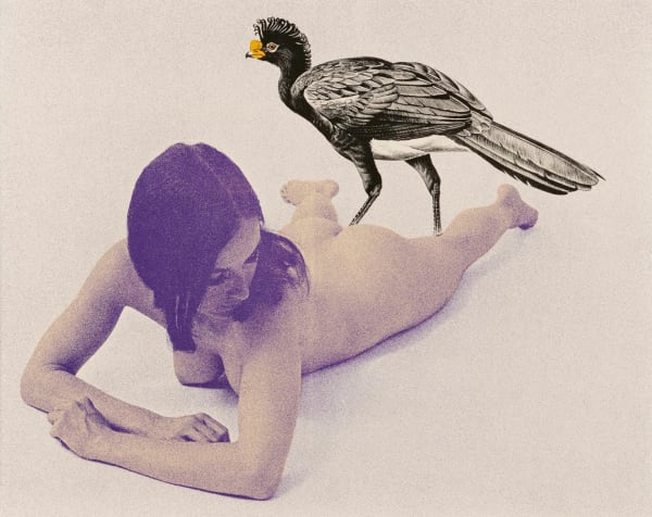 Currasow, 1969