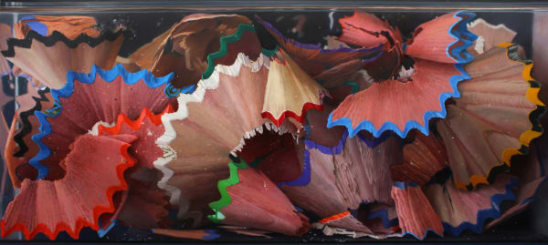 Javier Banegas, Colour Shavings