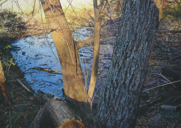 James Van Patten It's Still Too Wet to Walk Watercolour on paper 61 x 86.5 cm