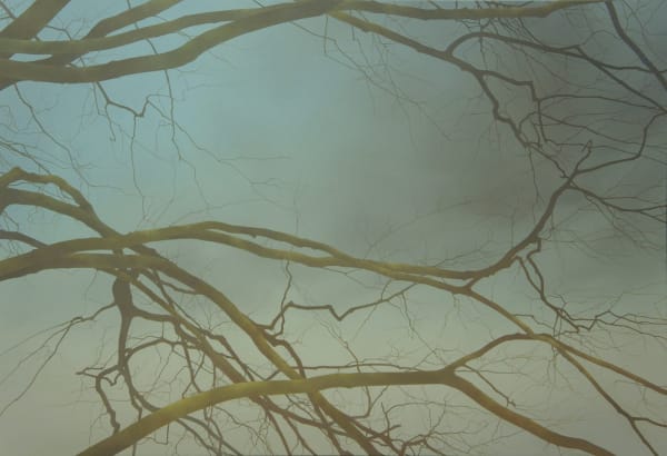 Branches