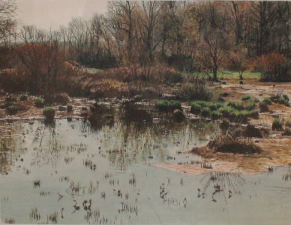 James Van Patten March Marsh Watercolour on paper 25.4 x 33 cm