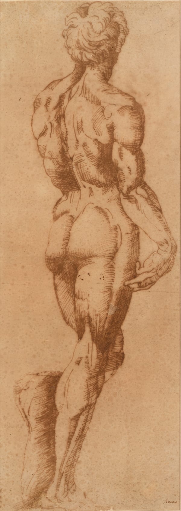 Attributed to Vincenzo DE’ ROSSI (Fiesole 1525 - 1587 Florence), Study after Michelangelo’s David