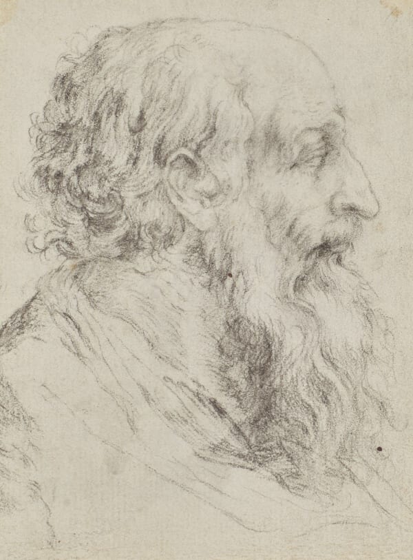 Italian school, 17th century, Two Heads of a Bearded Man, after Agostino Carracci