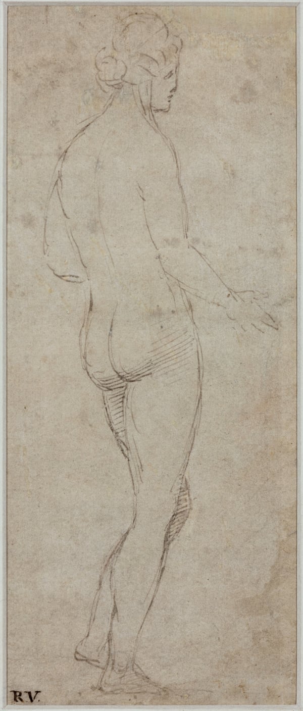 Attributed to Timoteo VITI (Urbino 1469 - 1523), Study of a female nude, seen from behind, facing right, Circa 1511