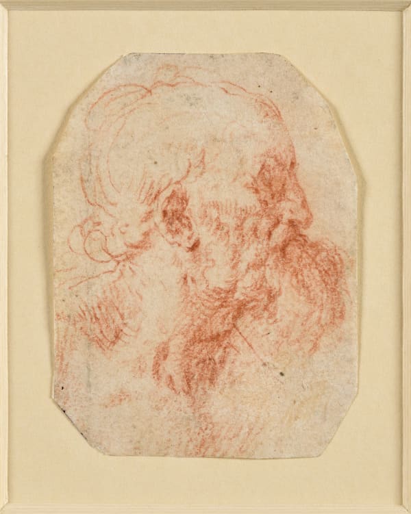 Milanese School, 16th century, Study of a bearded man in profile to the right