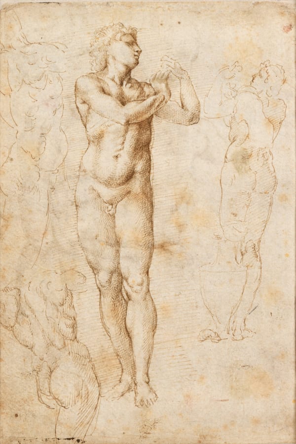 Workshop of Michelangelo, possibly Piero d'ARGENTA (Active 1497 - 1530), Studies of Michelangelo’s Galli statue, from the front and behind back, and partial views (recto) Study after a lost drawing by Michelangelo for the Ignudo above the Eritrean Sibyl in the Sistine Chapel (verso), circa 1510-1520