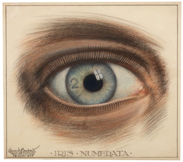 Eduard Houbolt (Hof van Delft, 1885 – The Hague, 1954), Iris Numerata, 1947