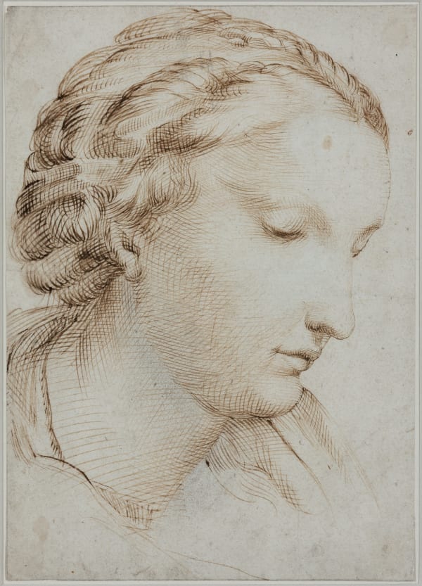 Attributed to Bartolomeo PASSAROTTI (Bologna 1529 - 1592), Study of woman head