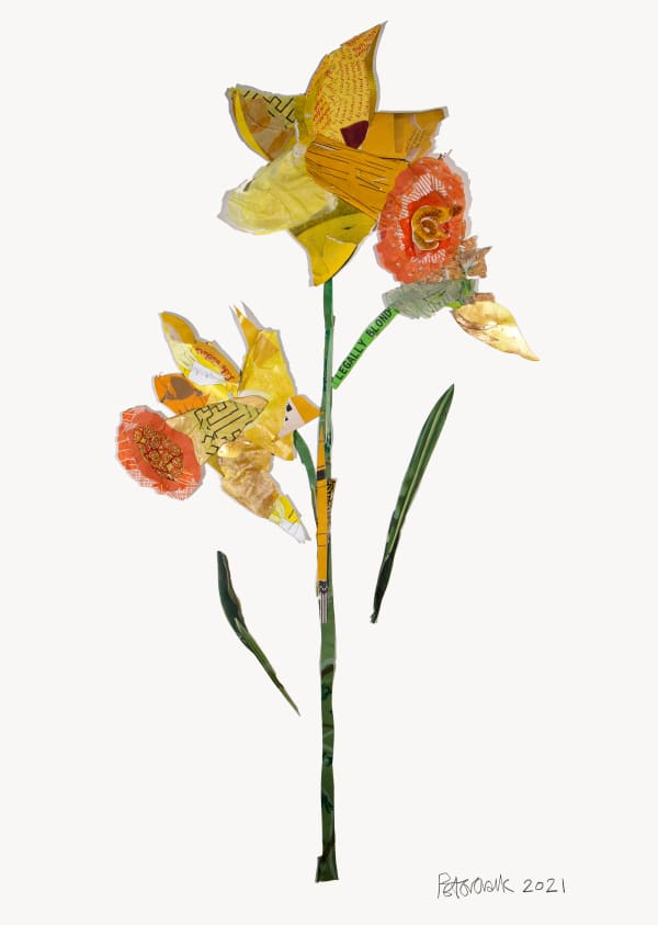 Daffy, 2021 Peter Clark