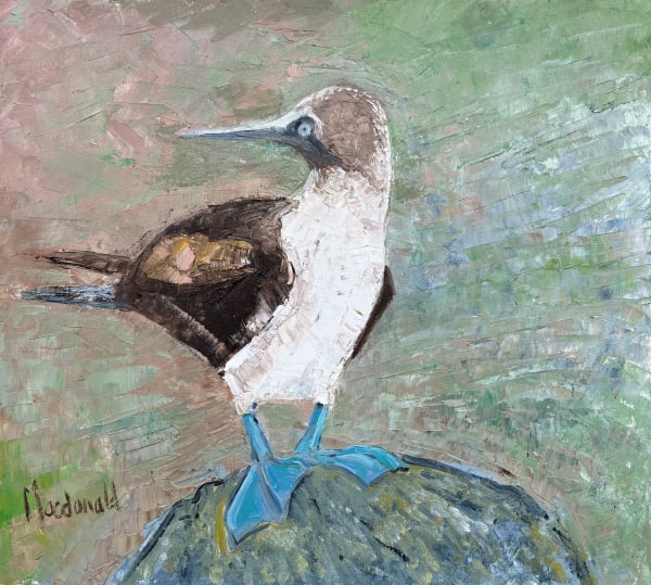 Frances Macdonald, 31. Blue Footed Booby, 2025