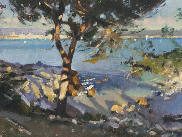 29. Shadows, Cap d'Antibes Paul Rafferty