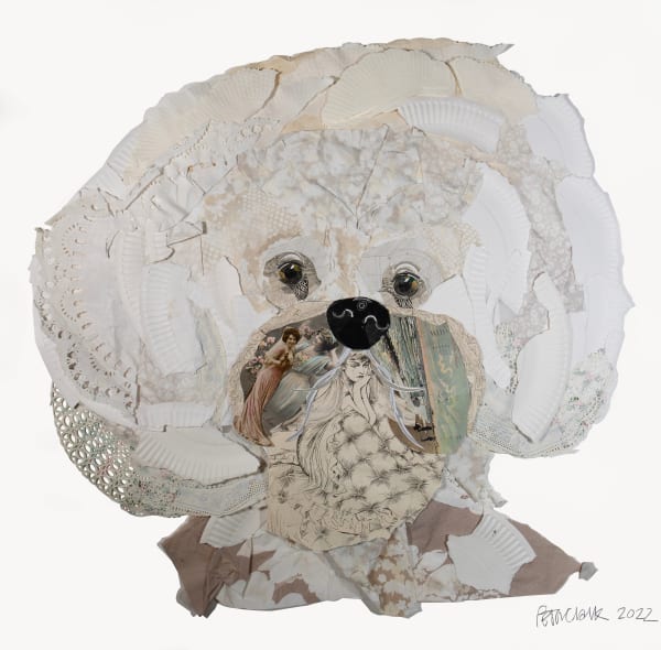 Bichon Buddy, 2022 Peter Clark