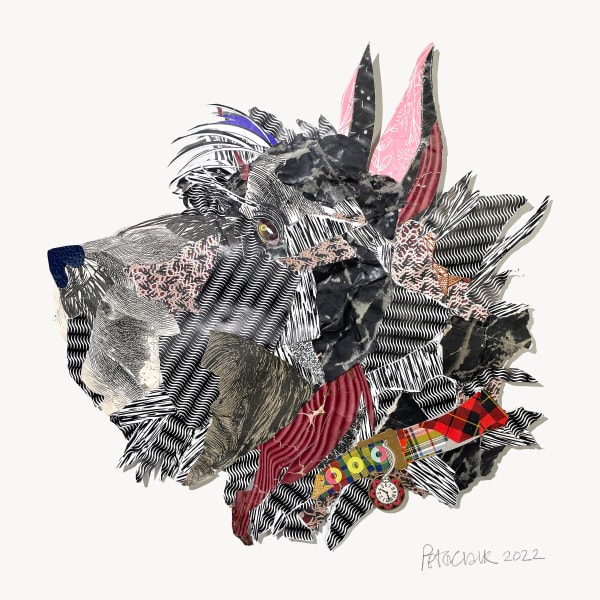 Peter Clark, 17. Bonnie Scottie, 2022