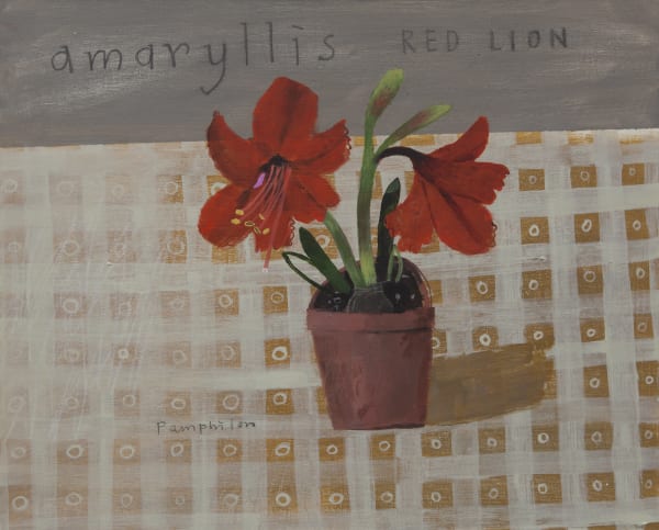 Amaryllis Red Lion Elaine Pamphilon