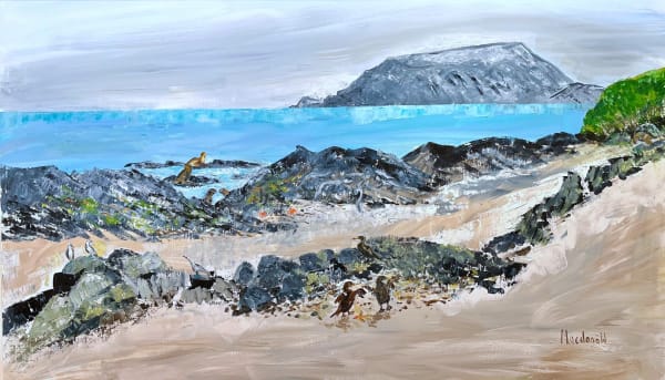 Frances Macdonald, 52. Sally Lightfoot crabs, sea lions, flightless cormorants, iguanas, blue footed boobies and even a giant tortoise. Ecuador Volcano, Galapagos, 2025