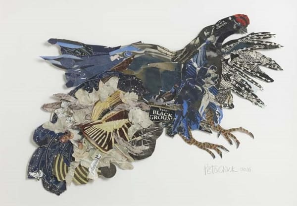 Blue-Black Lek Peter Clark