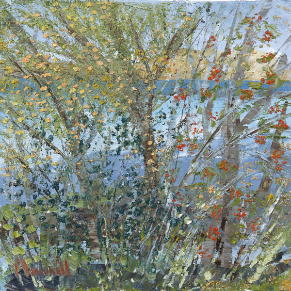 Rowans and Silver Birch, October from My Studio Frances Macdonald