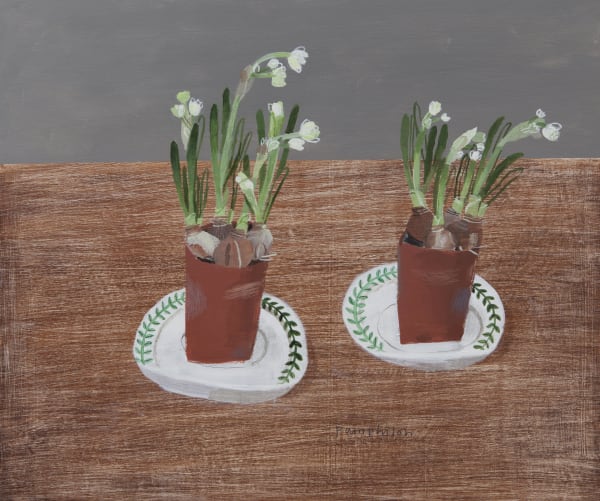 Baby Narcissi Just Opening Elaine Pamphilon