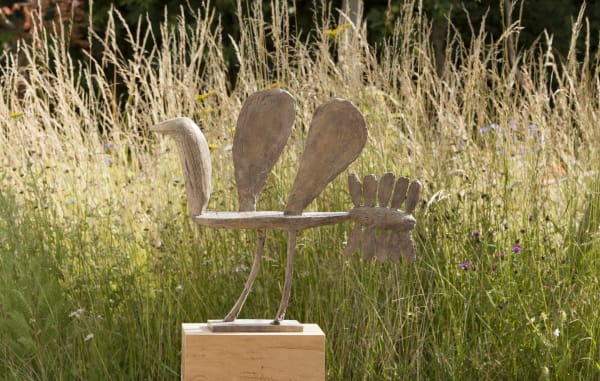 African Bird Christopher Marvell