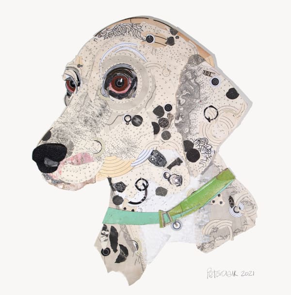 Recently Spotted Peter Clark