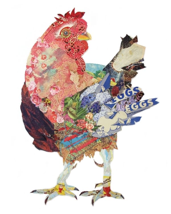 Chicken in Full Bloom Peter Clark