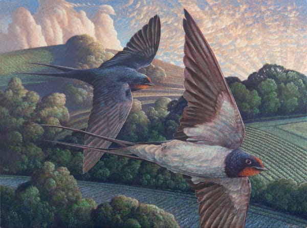 Swallows Over the Flax, 2025 James Lynch