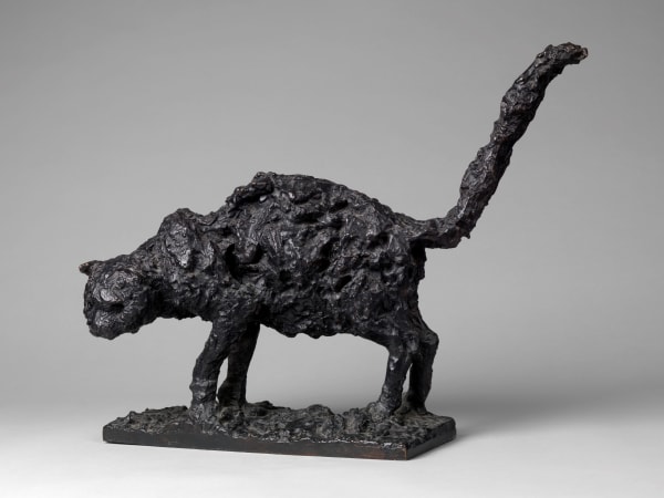 Robert Clatworthy, Cat, 1954