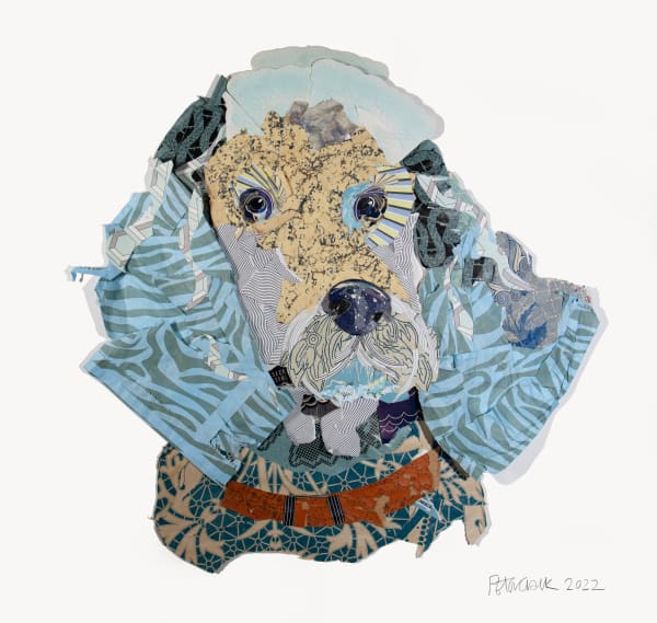 Labrabloodle, 2022 Peter Clark