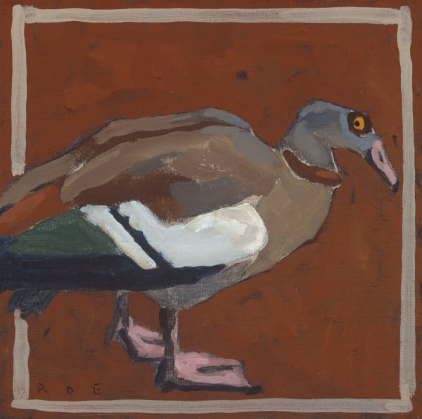 Romy Elliott, Egyptian goose, 2023