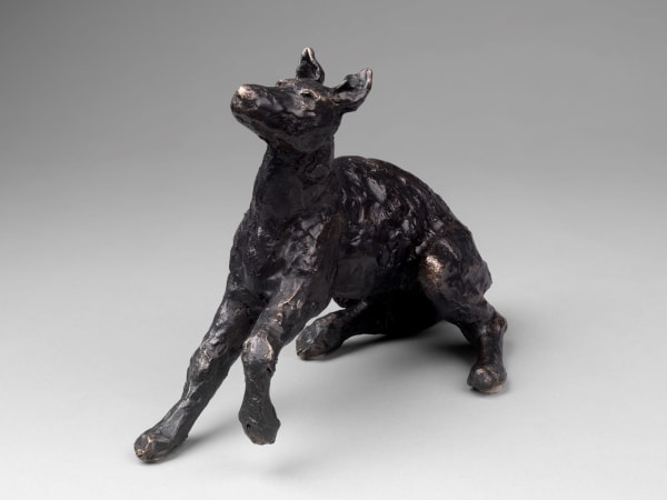 Dog Ready, Rua Jess Wallace