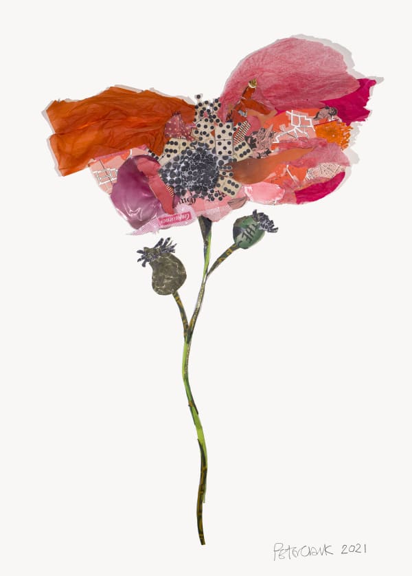 Poppy Peter Clark