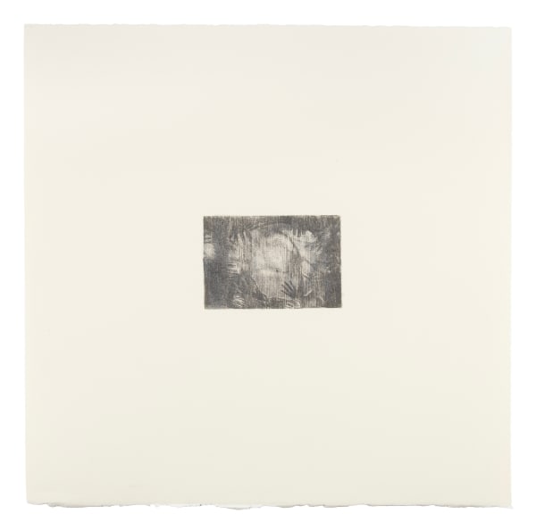 Richard Maguire, The Circle, 2024